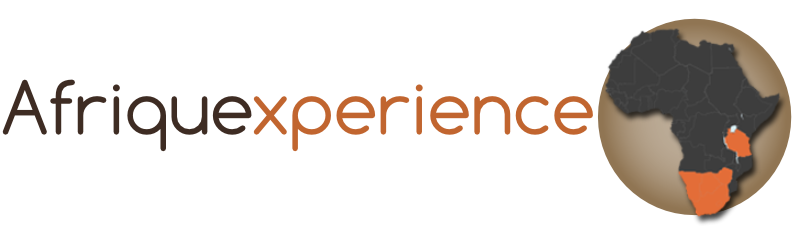 Afriquexperience