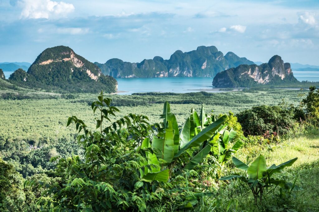 Transfert vers l'île préservée de Koh Yao Noi - Koh Yao Noi, Thaïlande