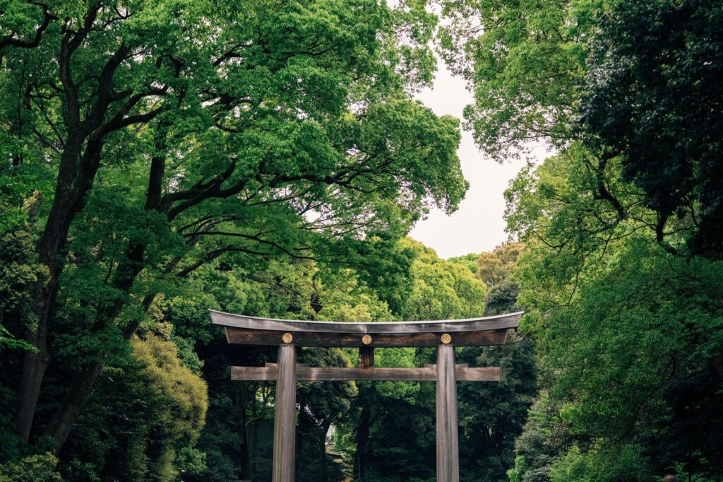 Découverte de Tokyo : Shinjuku, Meiji-jingu et Harajuku - Tokyo, Japon