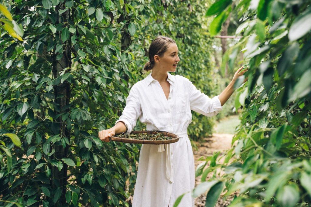 Plantation de poivre, cours de cuisine et route vers le Mékong - Kampong Cham, Cambodge